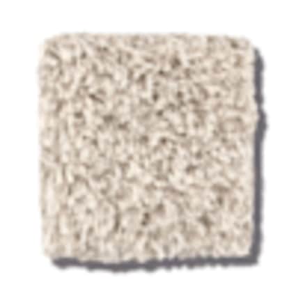 Shaw New Rochelle Creamer Texture Carpet with Pet Perfect Plus-Sample